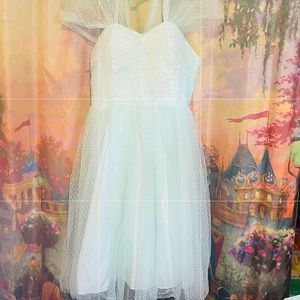 Unique Vintage Swiss Dot Garden State Mesh Dress